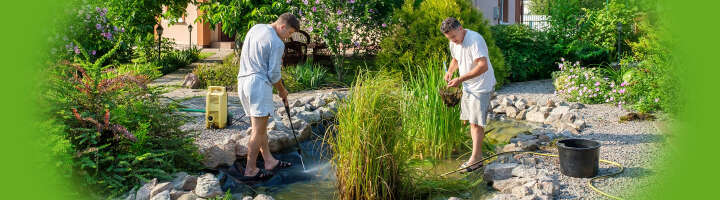 teichpflege kategorieeinstiegsbanner 2876x800